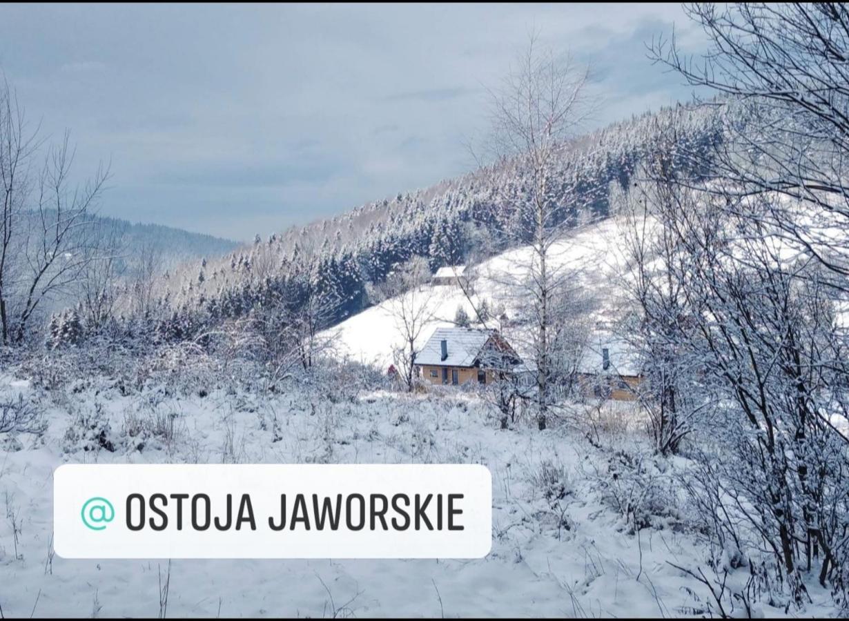 Ostoja Jaworskie Stryszawa ภายนอก รูปภาพ